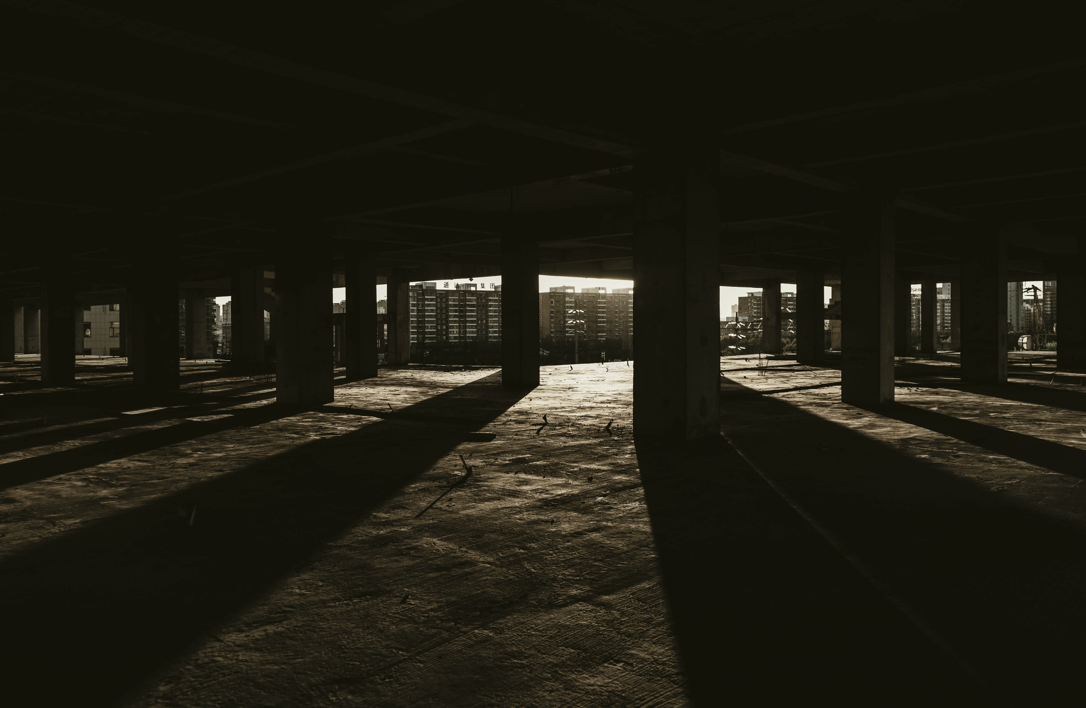 Low sun raking through the columns of an unfinished floor plate.